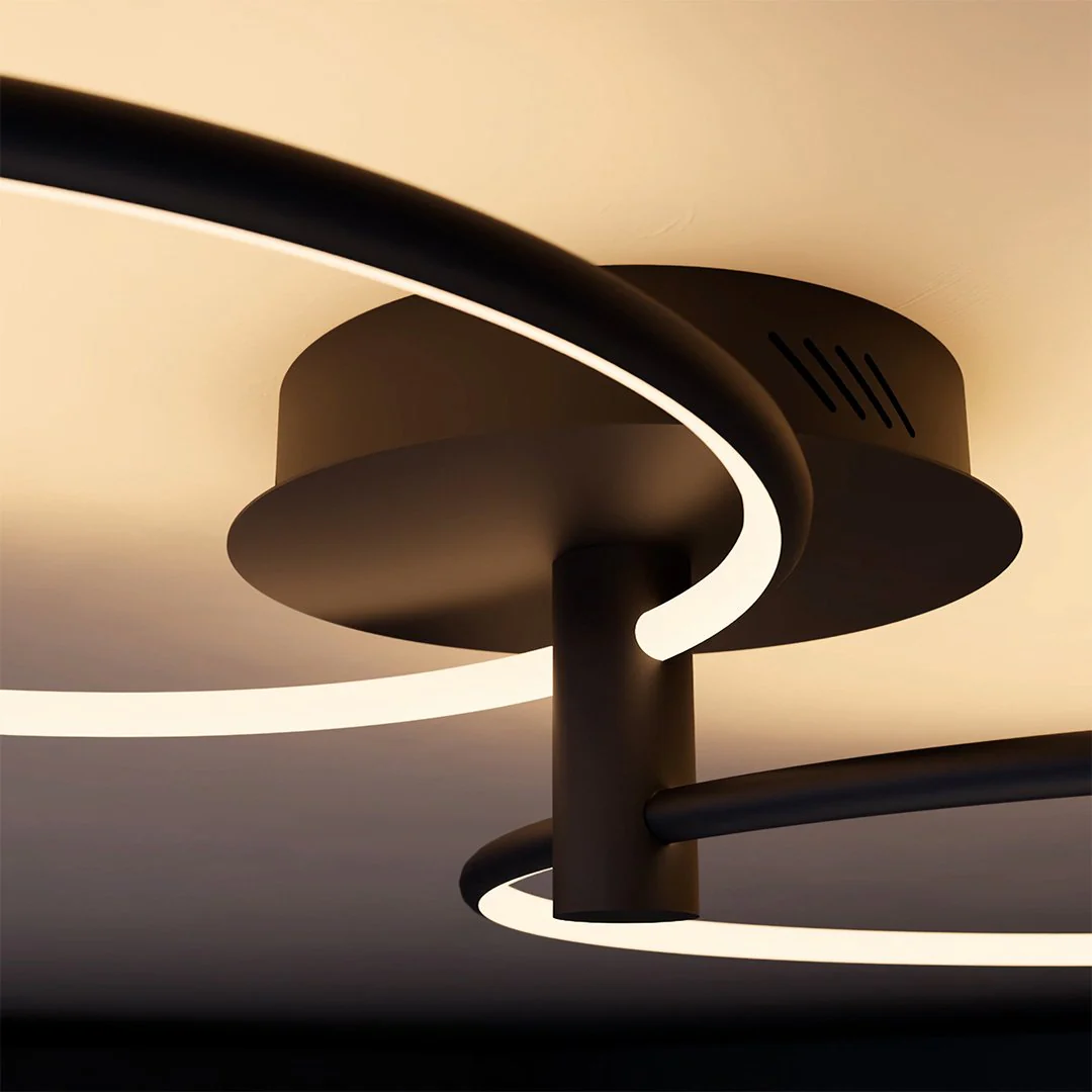 ORPHEUS - Image 6