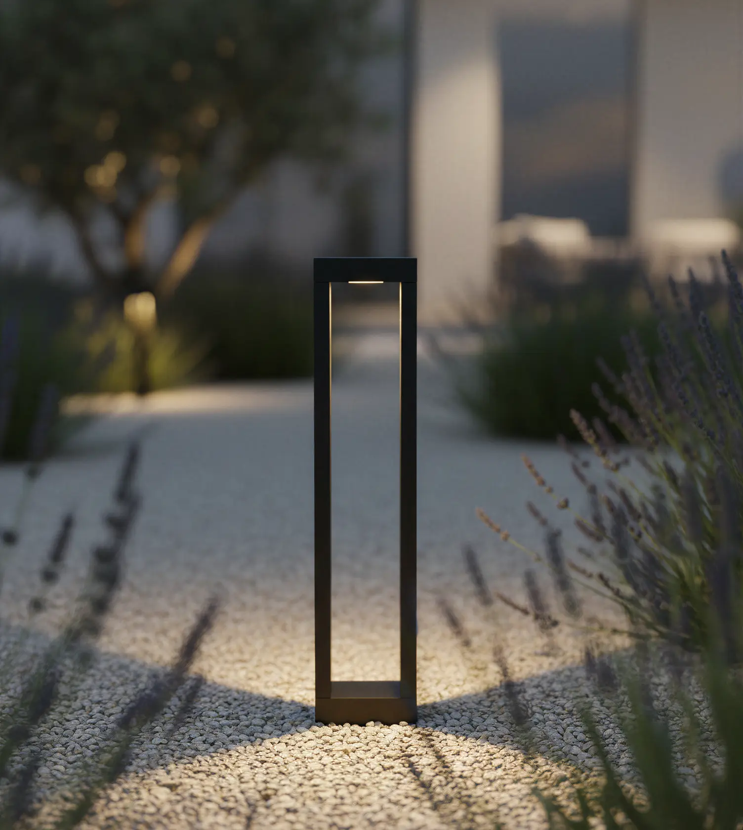 SORA - Image 8