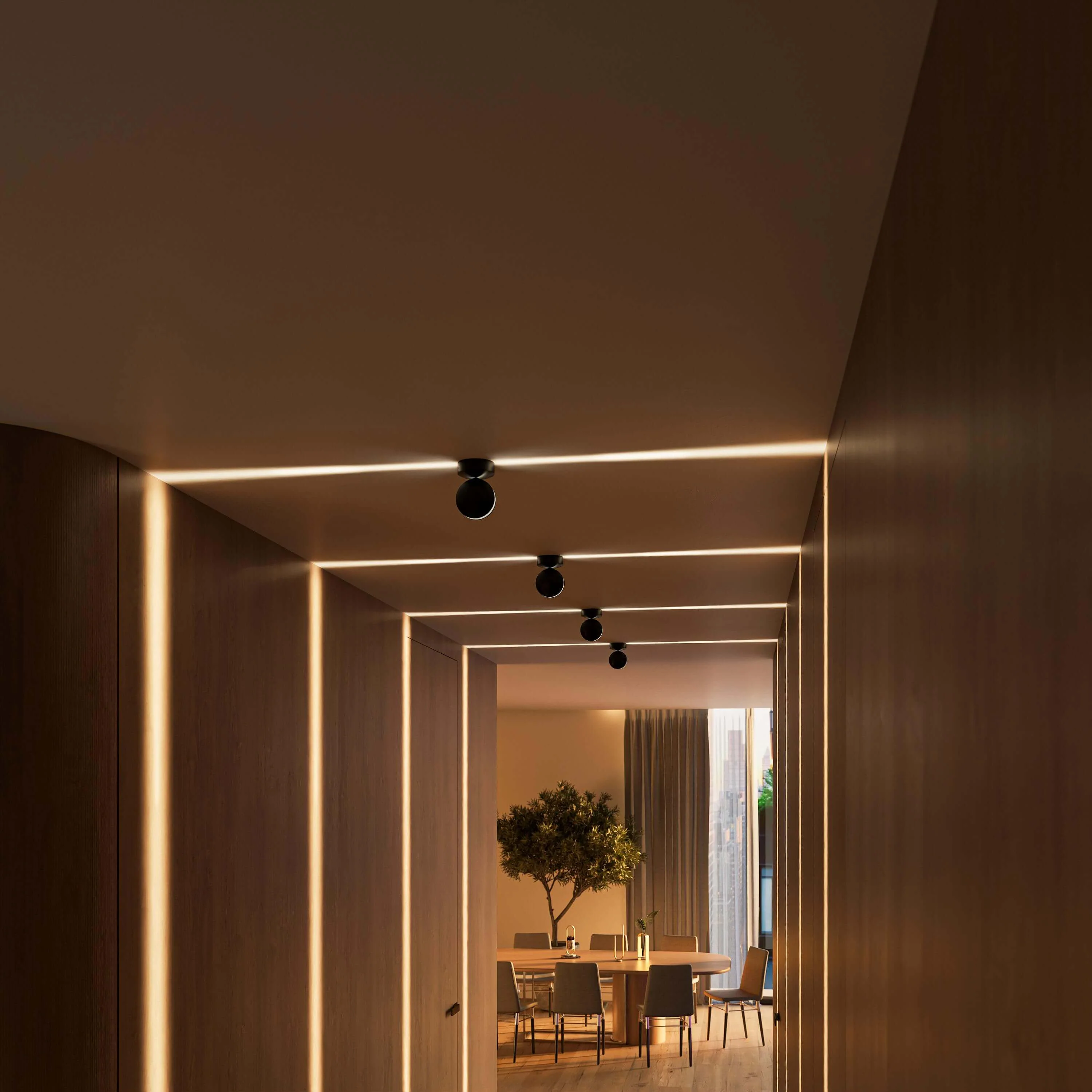 SPECTRA - Image 16