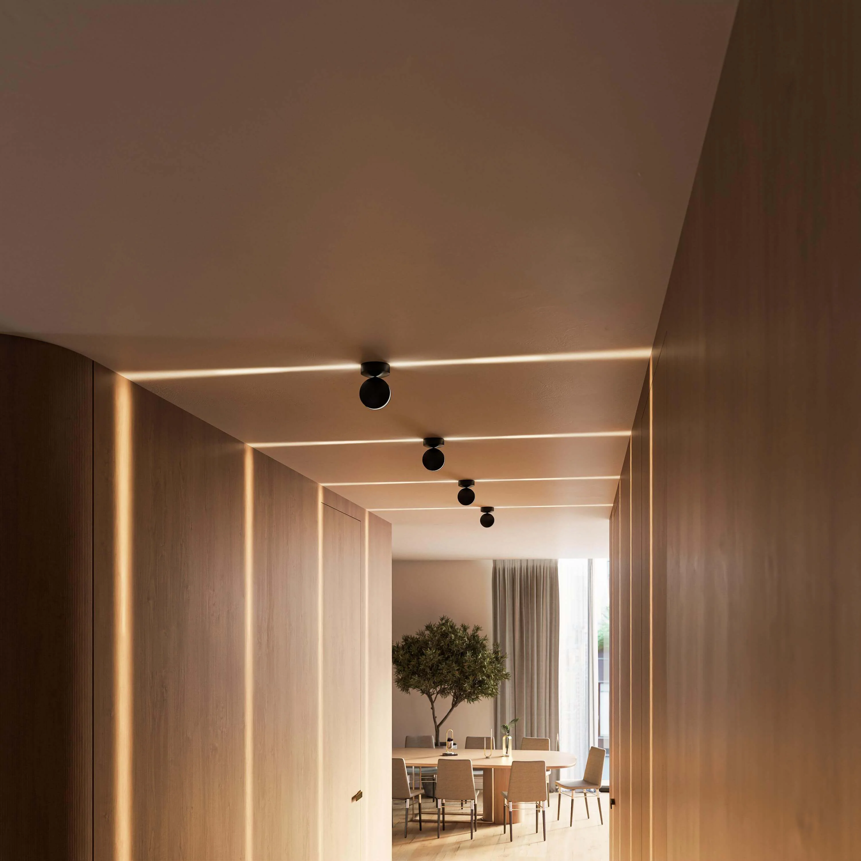 SPECTRA - Image 19